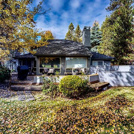 Tree Branch Cabin Сънривър Екстериор снимка