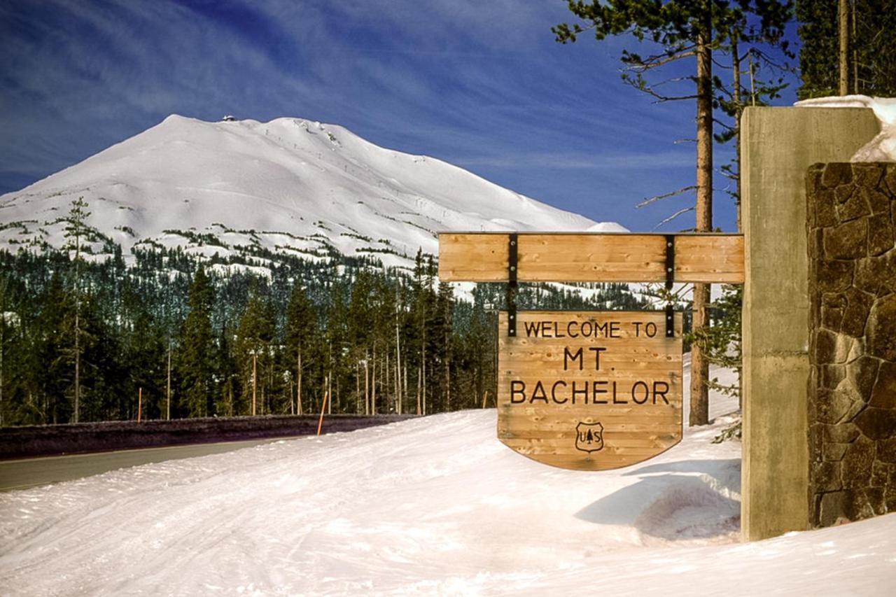 Tree Branch Cabin Сънривър Екстериор снимка